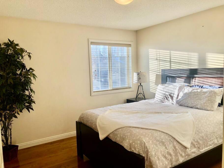 Villa 2500 Sq House In Springbank Hill Bl 261818 YYC Exterior foto